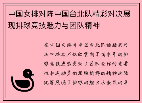 中国女排对阵中国台北队精彩对决展现排球竞技魅力与团队精神