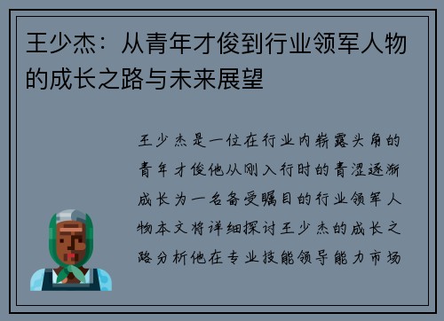王少杰：从青年才俊到行业领军人物的成长之路与未来展望