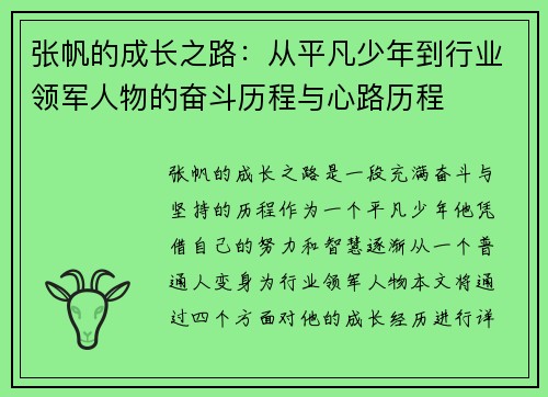张帆的成长之路：从平凡少年到行业领军人物的奋斗历程与心路历程