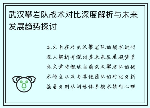 武汉攀岩队战术对比深度解析与未来发展趋势探讨