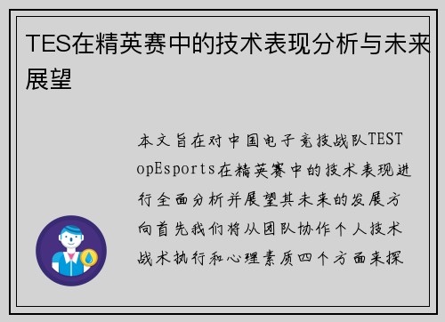 TES在精英赛中的技术表现分析与未来展望