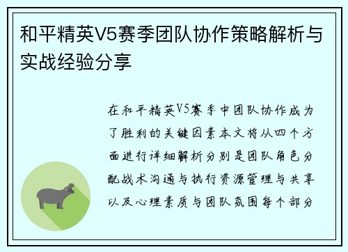 和平精英V5赛季团队协作策略解析与实战经验分享